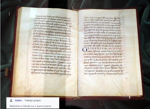 Marco Terencio Varrón