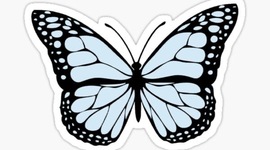 Timeline: 5 Eventos importantes de mi vida