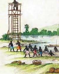 Formação dos Quilombos Palmaristas