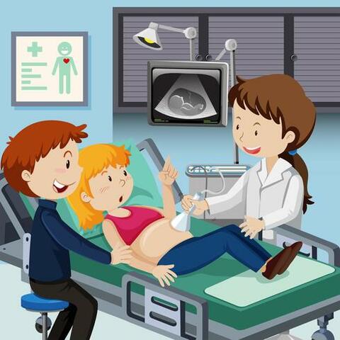 Resolución 2003-2014: