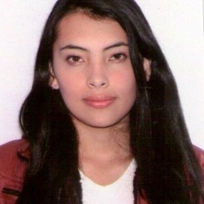 Timeline: Historia de la Ingenieria