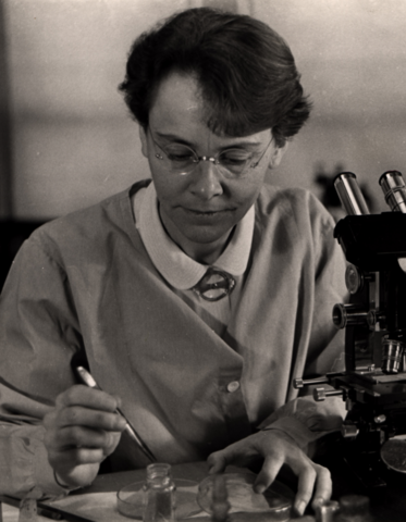 Barbara McClintock (1902-1992)