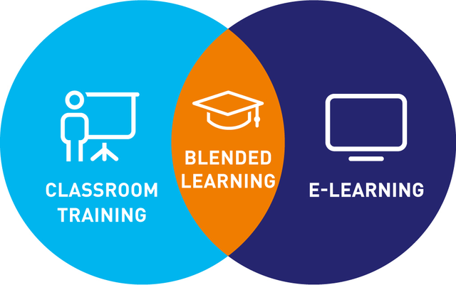 2002 Blended learning (B-learning)