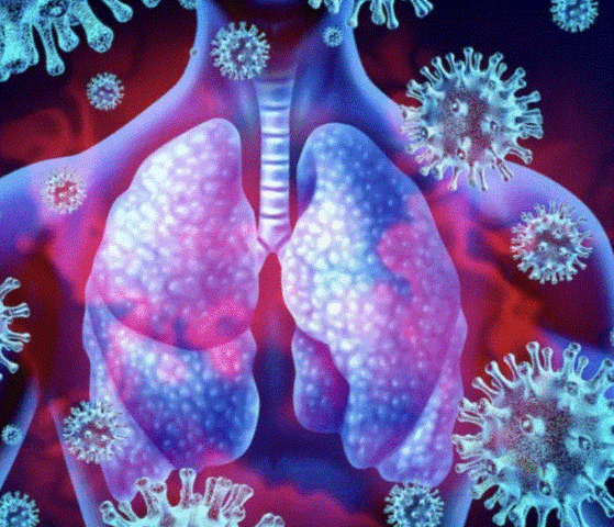 XIX Teoría del germen de la enfermedad-1881