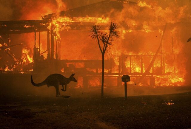 Brushfires devastated Australia