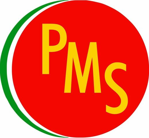 De PSUM a PMS
