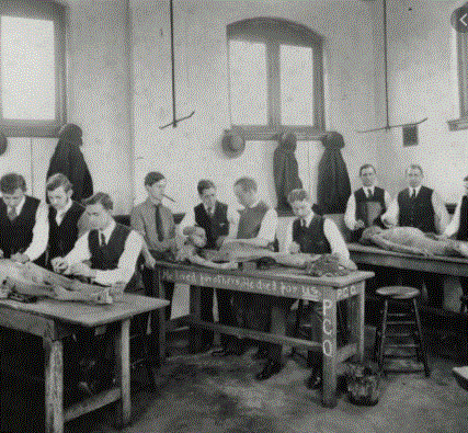 Siglo XIX. Primeros documentos escritos sobre Enfermería de Salud Pública