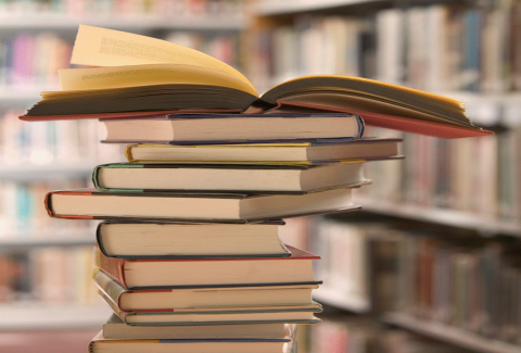 10 manuales de Ergonomía