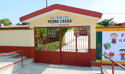 Entré a la primaria (Pasado)