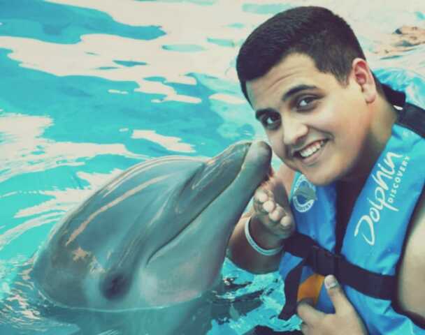 Nadé con delfines