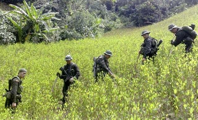 BONANZA DRUG TRAFFICKING