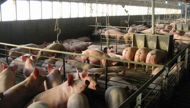 Centros de investigación