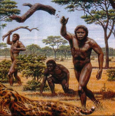 Australopithecus (3.000.000 a.C)