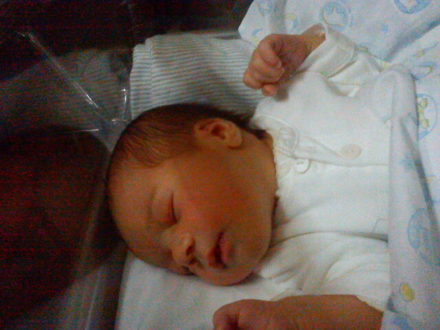 Vaig tenir un germà