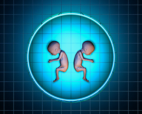 Herbert Boyer (1936-*) y Stanley Norman Cohen (1922-*)