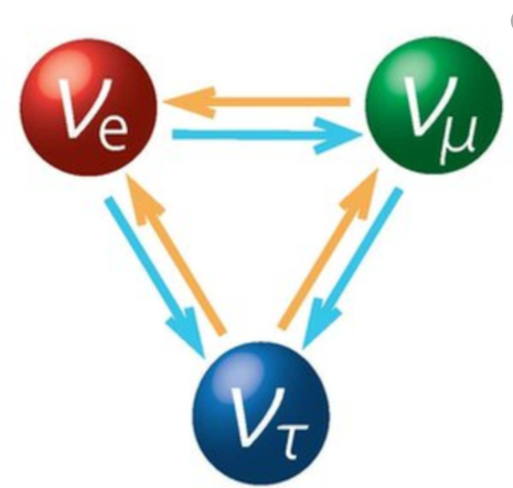 the discovery of the neutrino