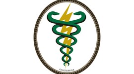 Timeline: História da Fisioterapia no Brasil e no Mundo