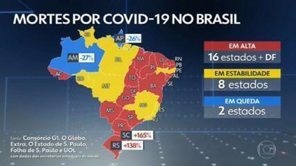 Quando chegou ao Brasil?