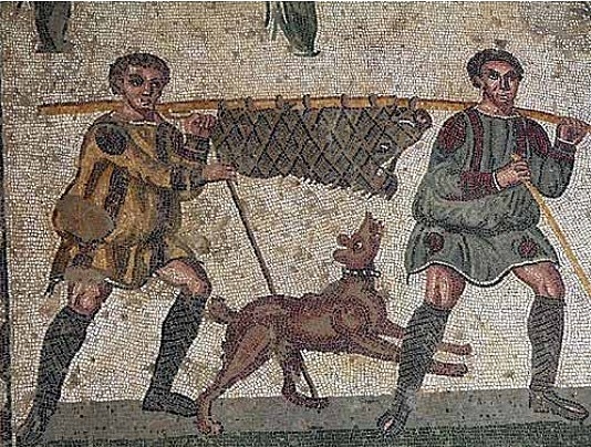 Origen de la domesticación