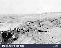 BATALLA DE DARDANELOS