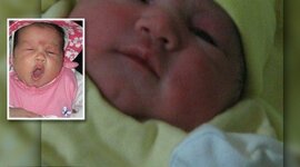 Timeline: linea de tiempo scarlet zarate 6-9