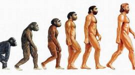 Timeline: La Historia De la Tecnología