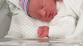 Timeline: La meva vida