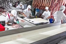 ACTUALMENTE LA PORCICULTURA