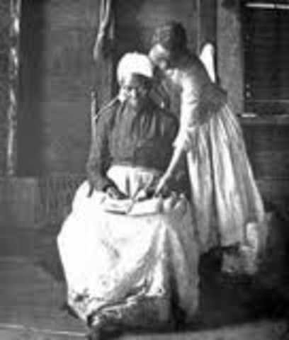 Underground circulation networks are established