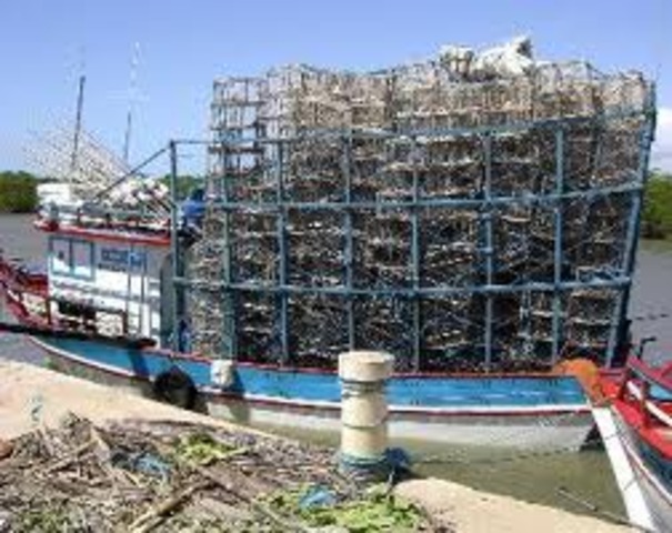 Primer esfuerzo por hacer una descripción exhaustiva de la pesquería de langosta [3]