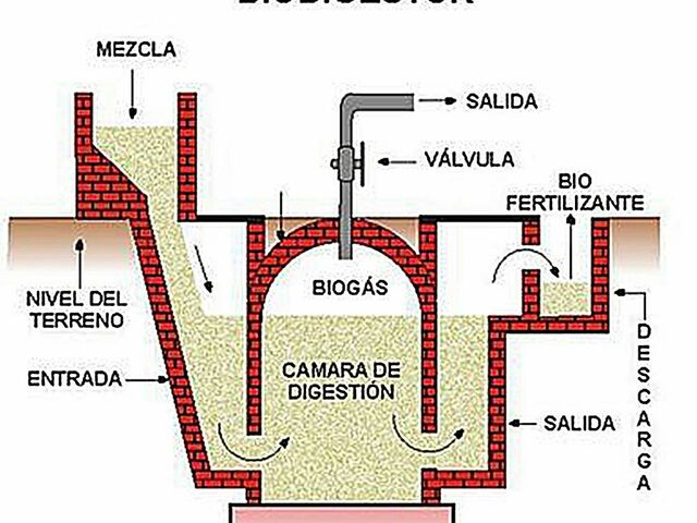 China e India construyen bio gestores para la producción de metano.
