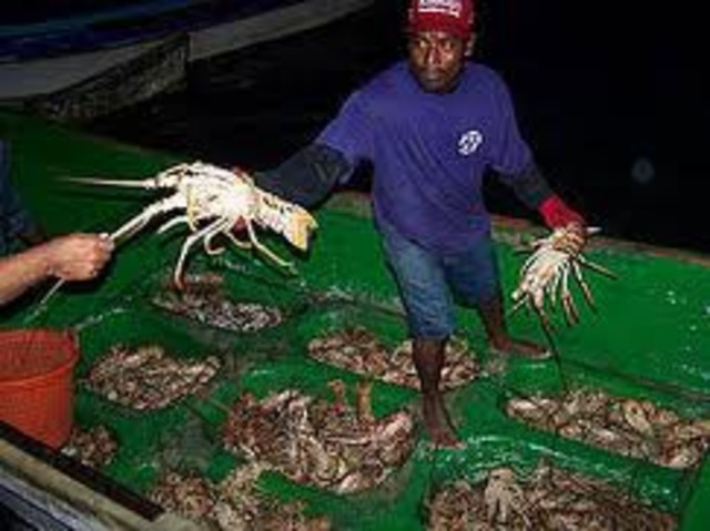 Maxima tasa de mortalidad por pesca estimada, para Nicaragua (0,53) [1]