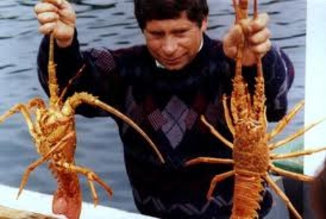 Establecimiento  de los tamaños mínimos de captura, (135 mm long) en Nicaragua [1]