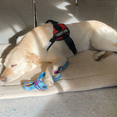 Timeline: To Kill a Mockingbird