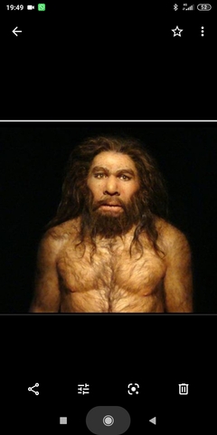 Homo Neanderthalensis