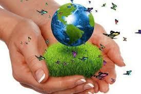 Implementación de la política Internacional de la educación ambiental.