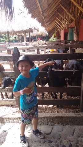 Ingreso a mi primaria