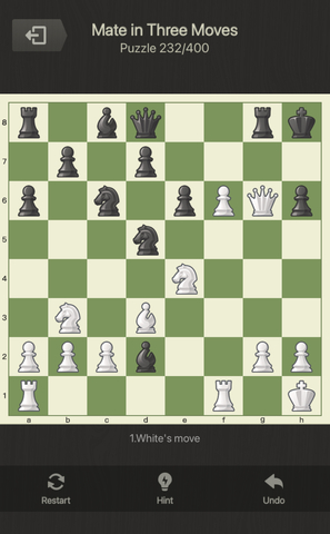 I learned how to play chess