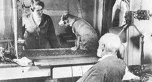 1870, Estudios de Pavlov