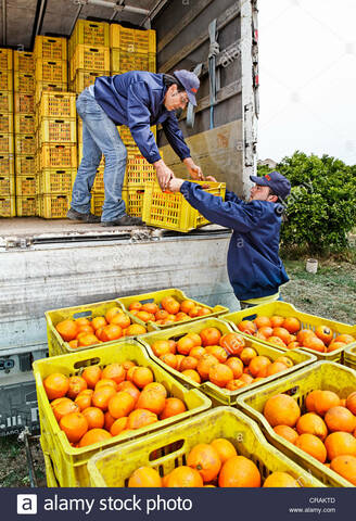Programa de Apoyo al Comercio Ejidal