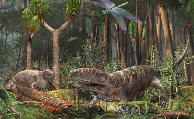 Period: Carboniferous