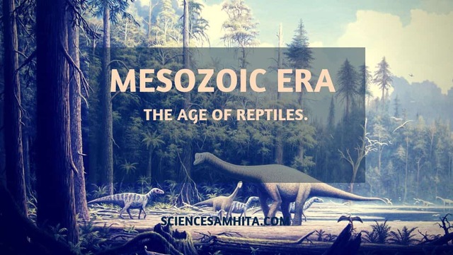 Era: Mesozoic     Period: Triassic