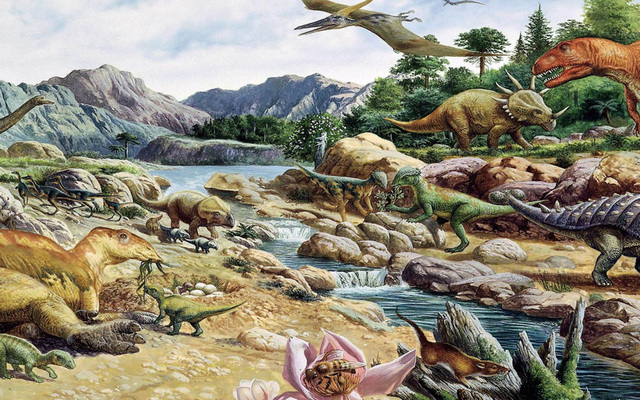 Period: Cretaceous