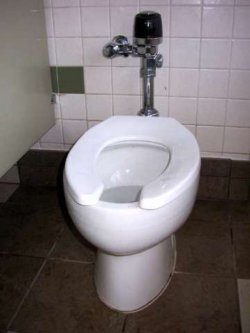 Automatic Flushing Toilet