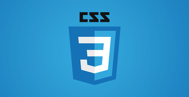 CSS 3 * * *