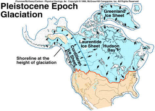 Period: Quaternary Epoch: Pleistocene