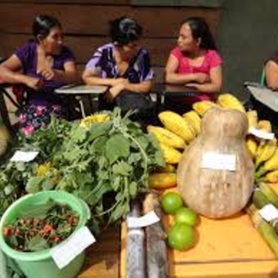 Timeline: Políticas, programas de alimentación y nutrición en México