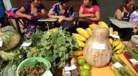 Timeline: Políticas, programas de alimentación y nutrición en México