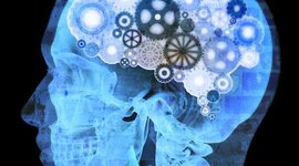 Timeline: Autores sistema teórico psicologia