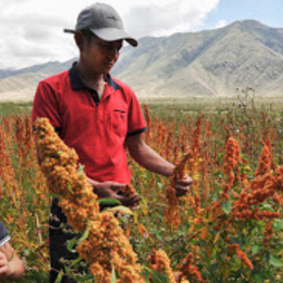 Timeline: Políticas de nutrición en México